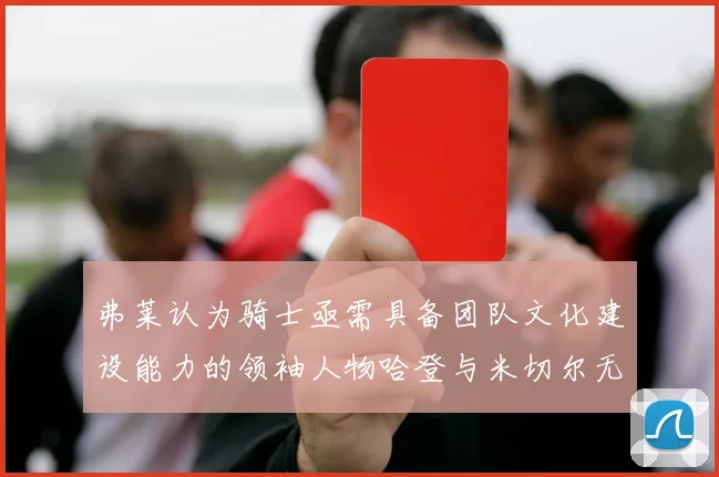 弗莱认为骑士亟需具备团队文化建设能力的领袖人物哈登与米切尔无法胜任
